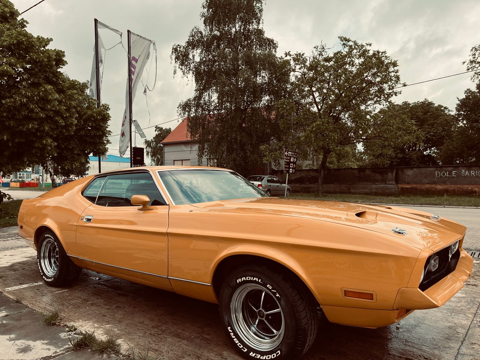 Ford Mustang Mach 1